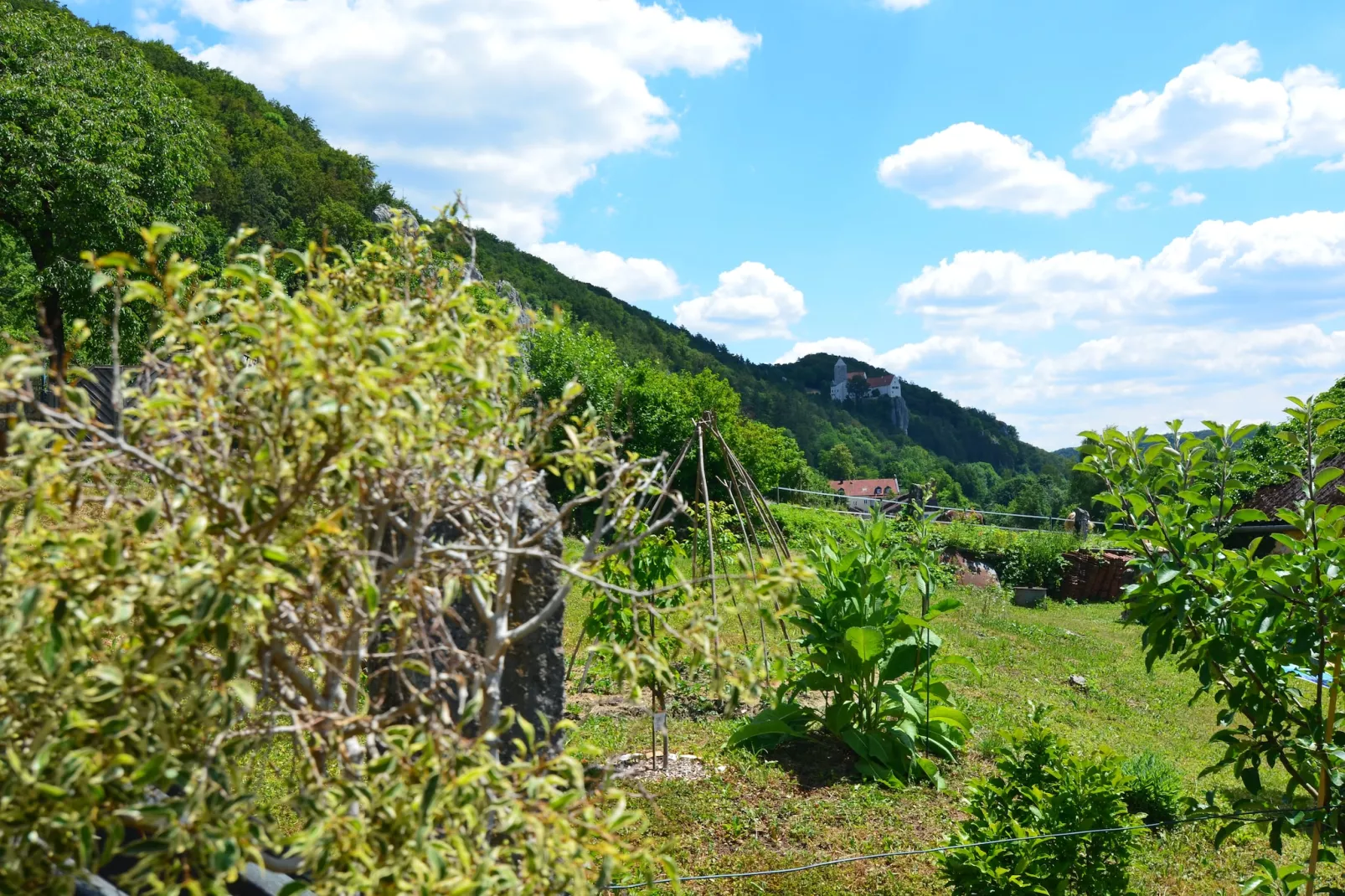 Im Altmühltal-Uitzicht zomer