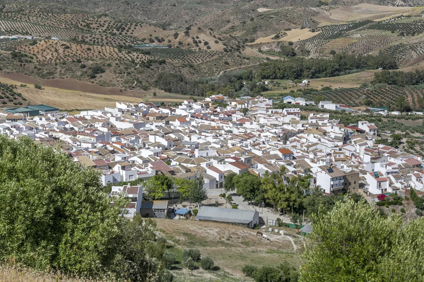 Casa en Villanueva de San Juan-Gebieden zomer 5km