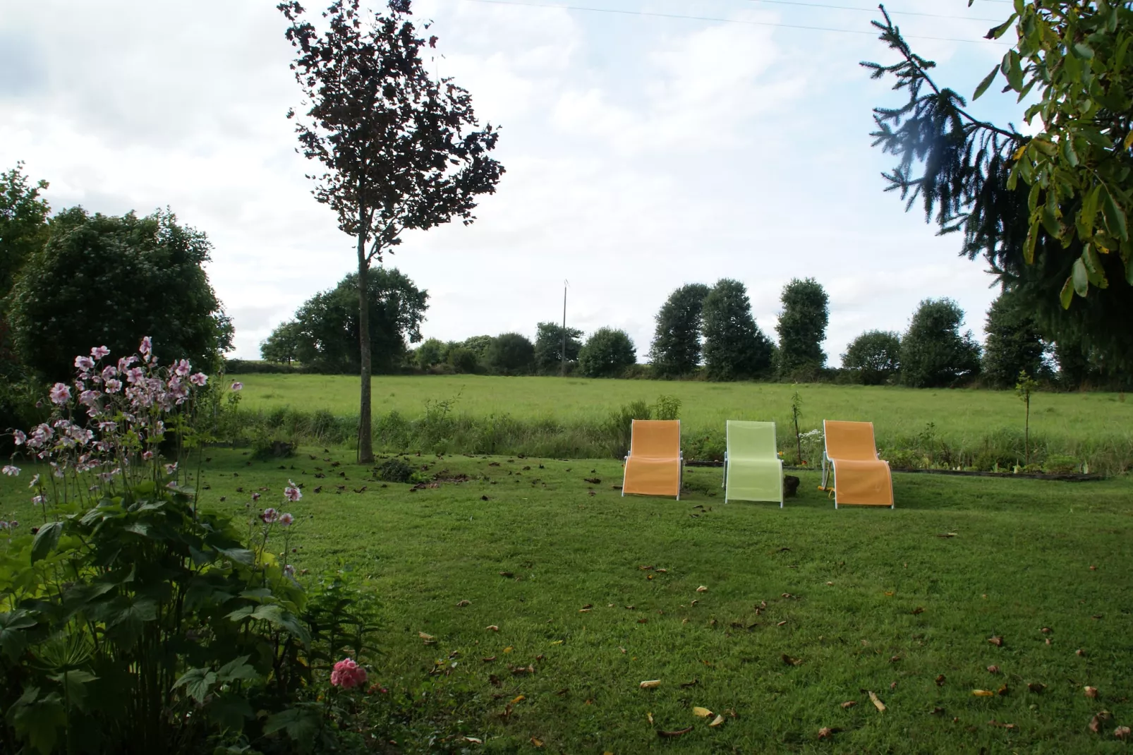Jolie maison en pays de Rance-Tuinen zomer