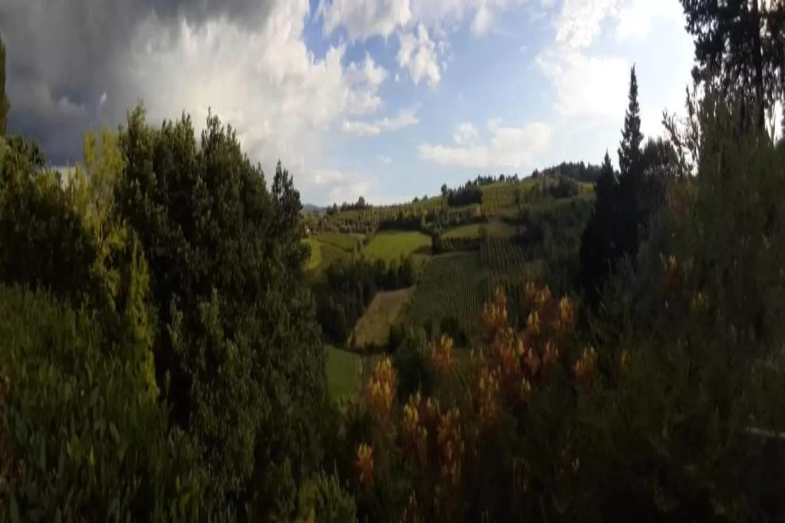 Il Poggiale-apt 9-Gebieden zomer 20km