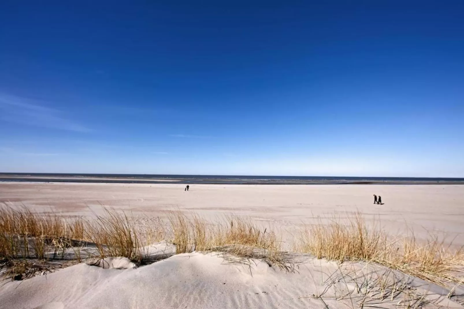 Fort den Haak - Chalet 1 tm 15  hond-Gebieden zomer 5km