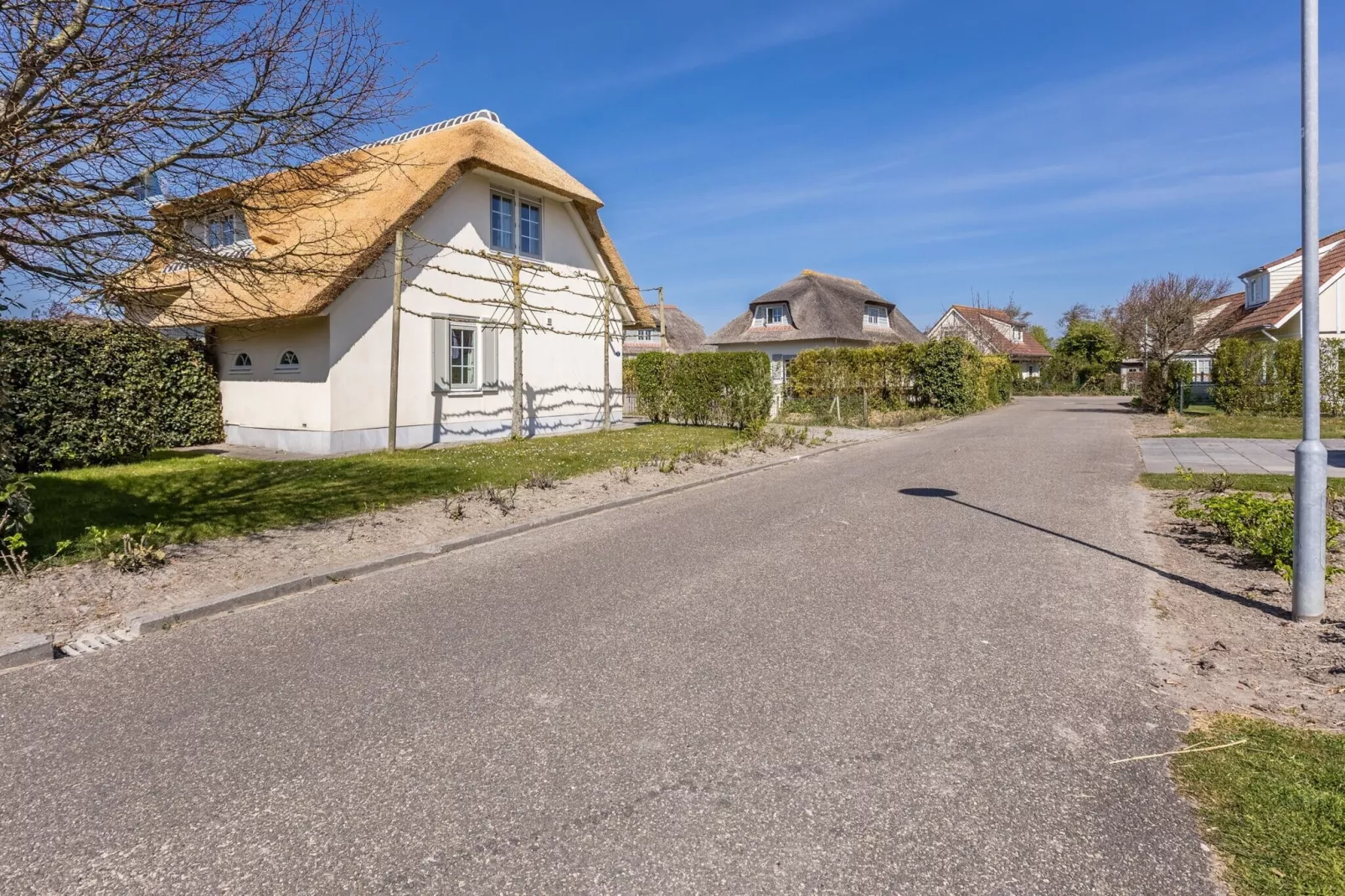 Buitenhof Domburg 12-Buitenkant zomer