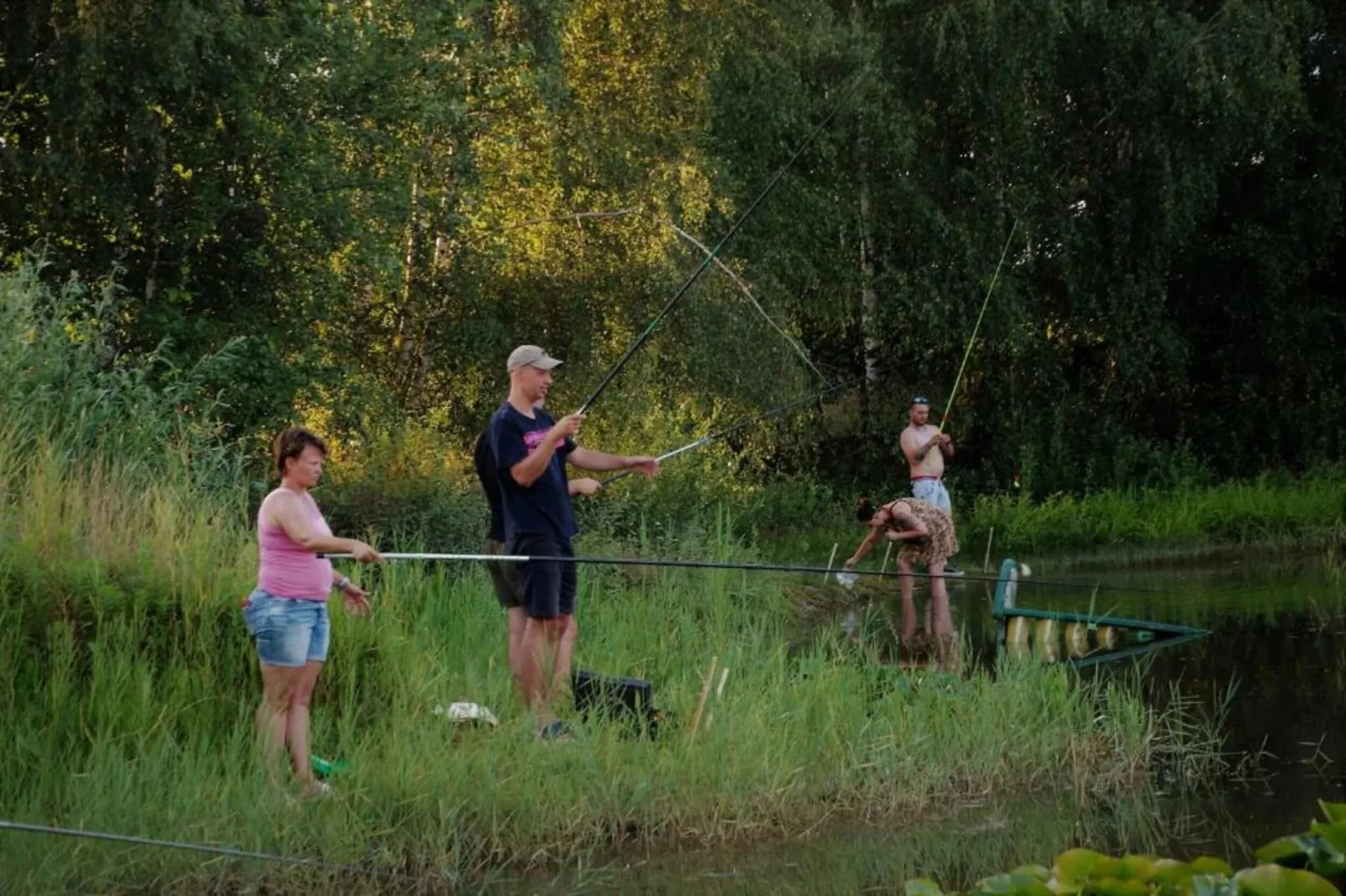 Kabinet-Gebieden zomer 20km
