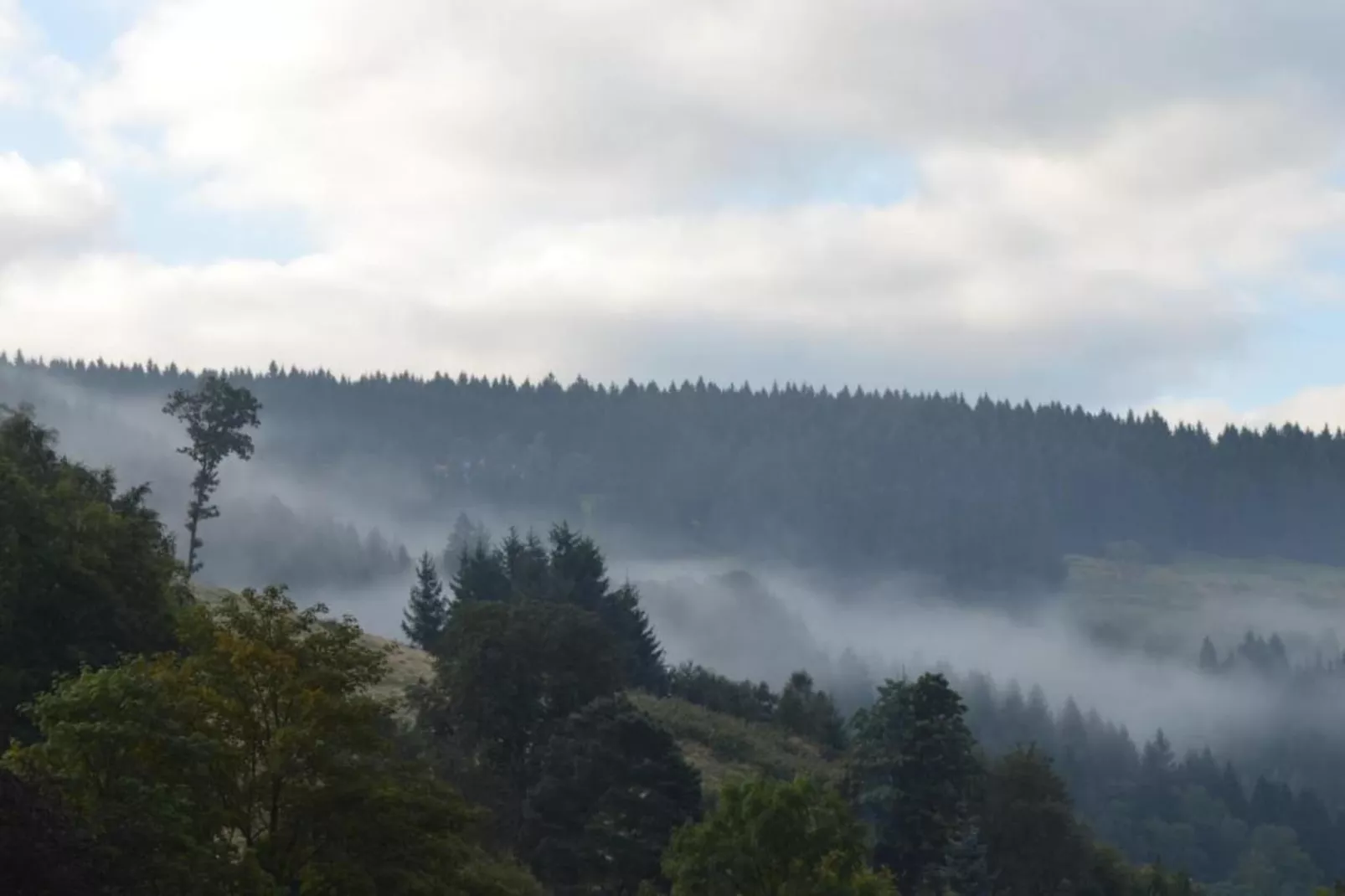 Ferienapartment Romatik in Wildemann Harz-Gebieden zomer 20km