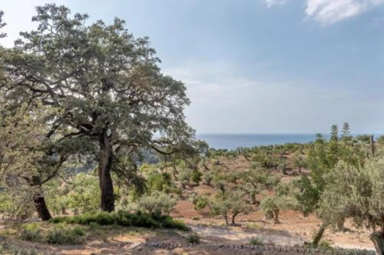 Camping del Mar BUNGALOW MEDITERRANI-Gebieden zomer 20km