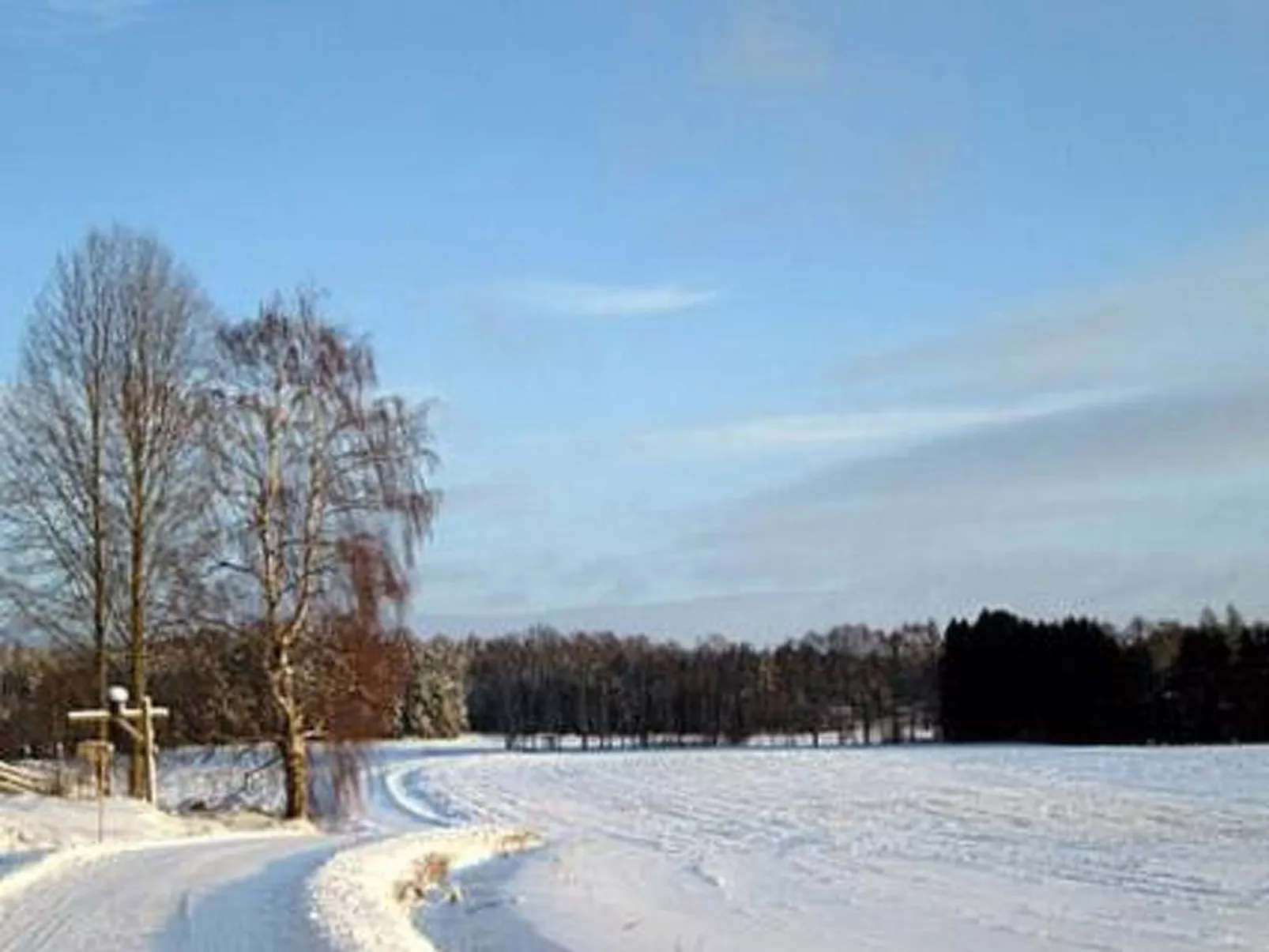 Villa vuorikotka-Buiten