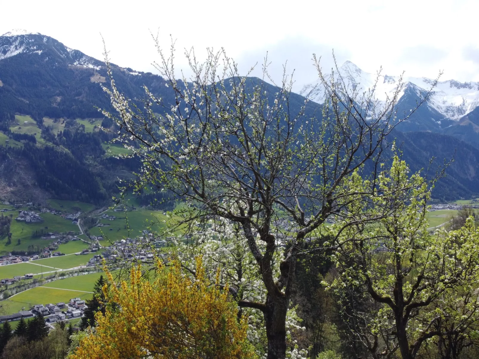 Obertal-Buiten