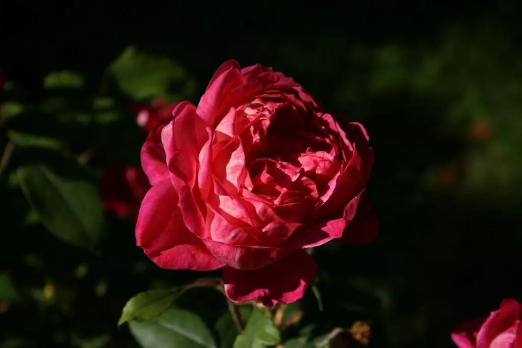 151619-Niet-getagd