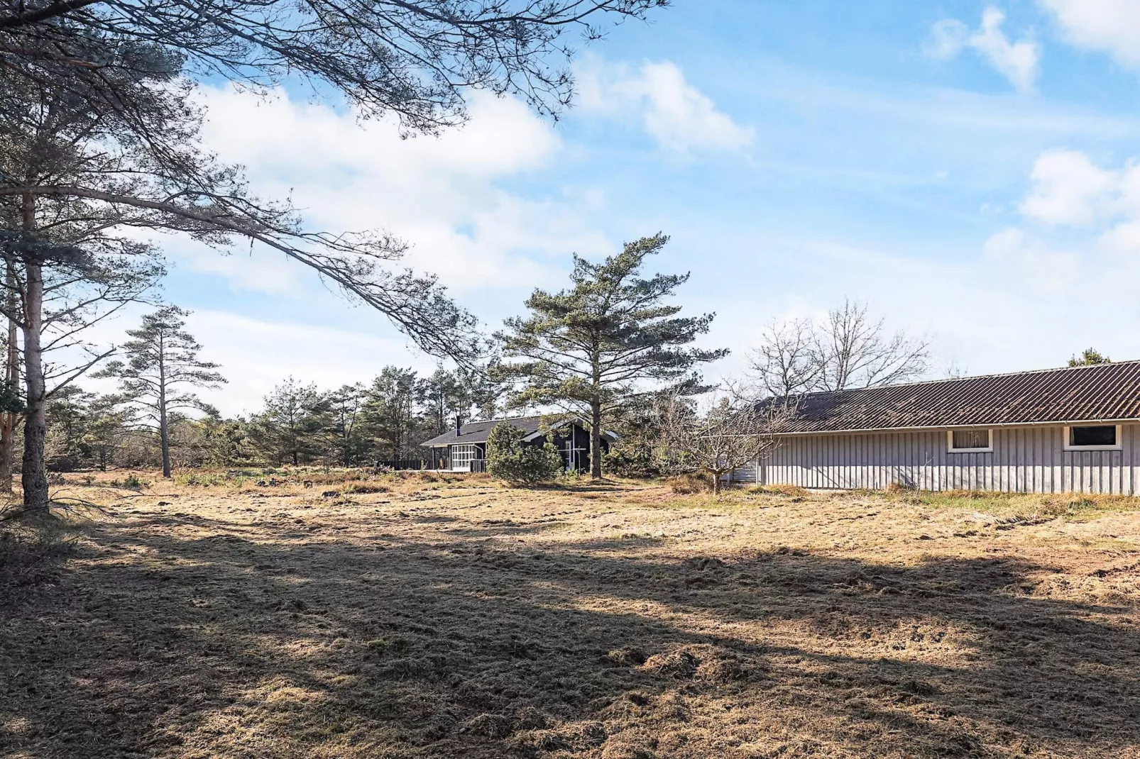 6 persoons vakantie huis in Ålbæk-Uitzicht
