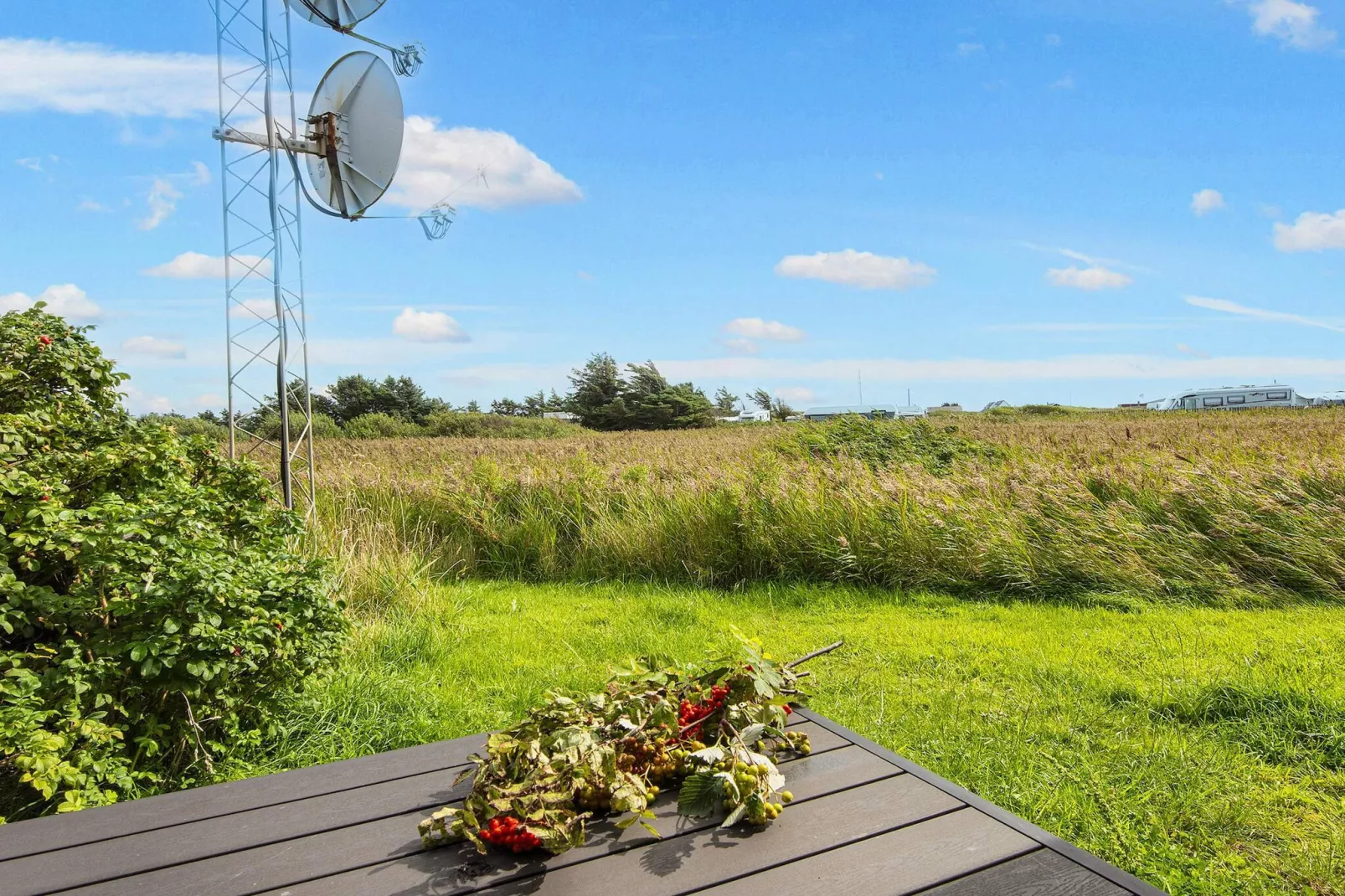 6 persoons vakantie huis in Ulfborg-Uitzicht