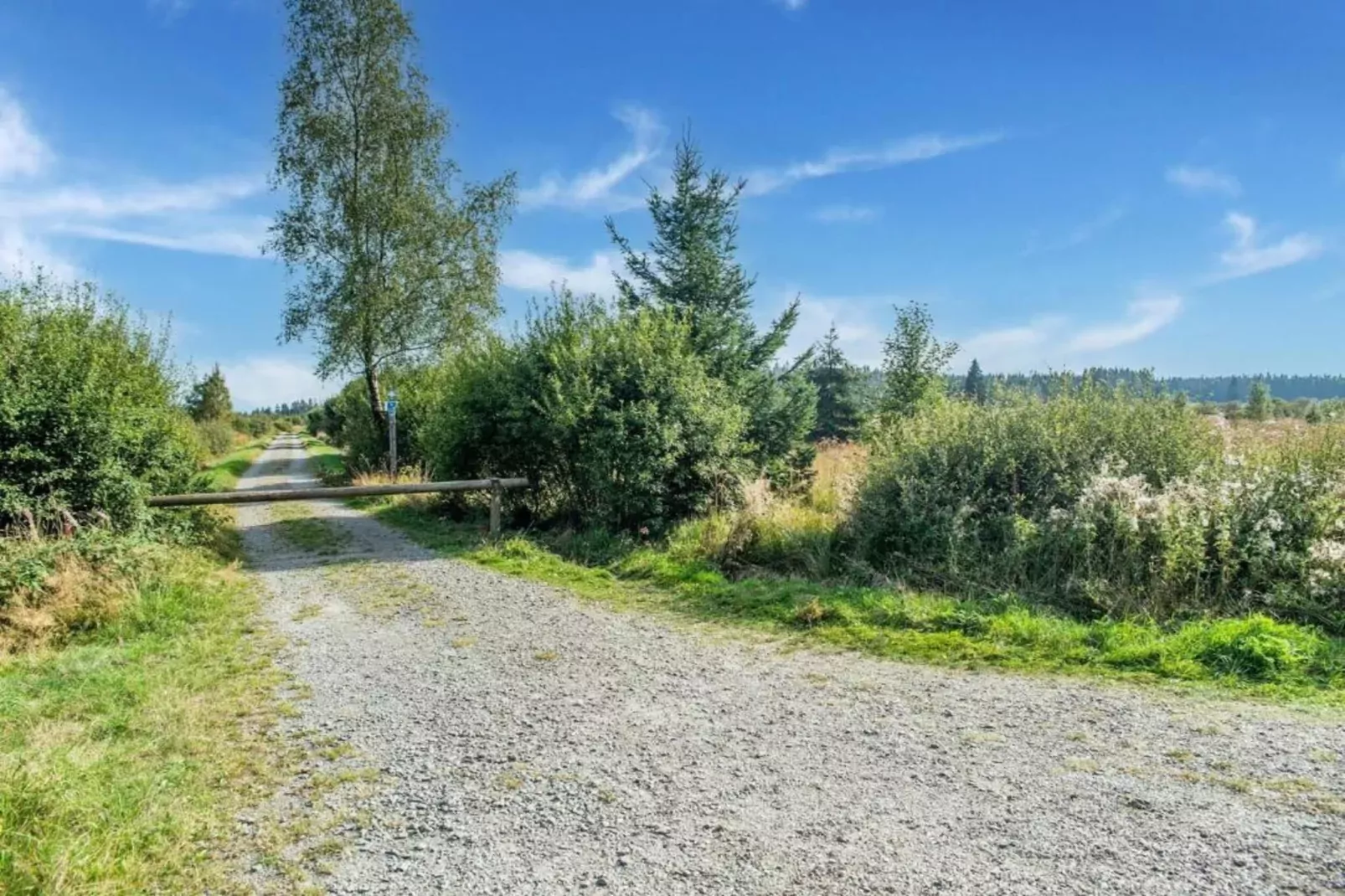 Vijverzicht-Gebieden zomer 20km