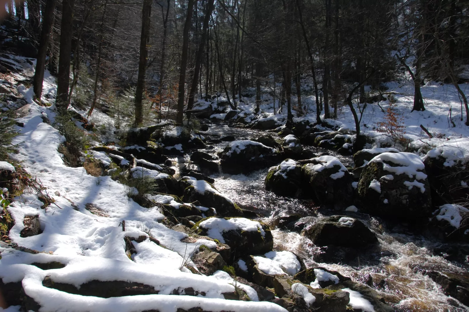 Villa Bel Air-Gebied winter 20km