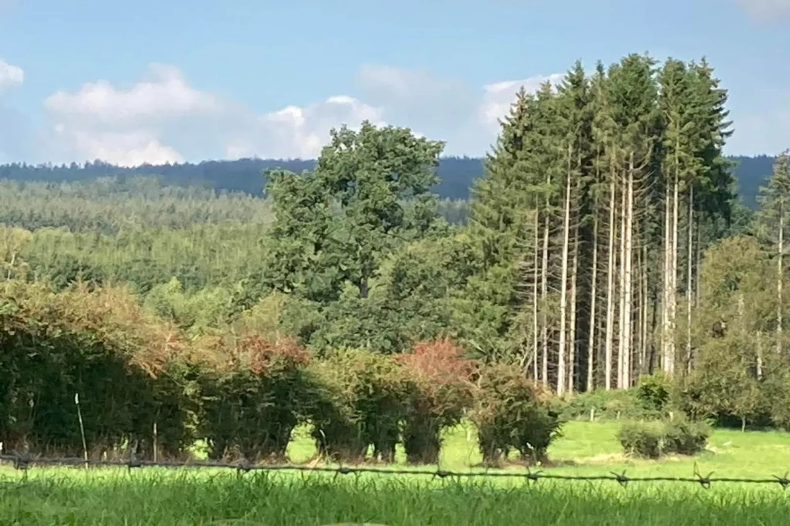 Le Gîte du Petit Culot-Gebieden zomer 20km