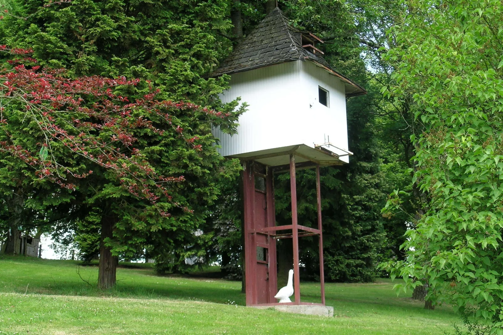 Domaine De L'Ecureuil 1-Tuinen zomer
