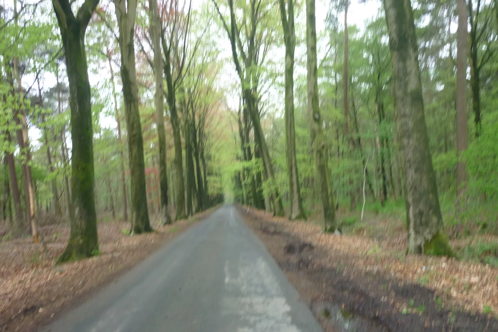 De Snoeibijl-Gebieden zomer 5km