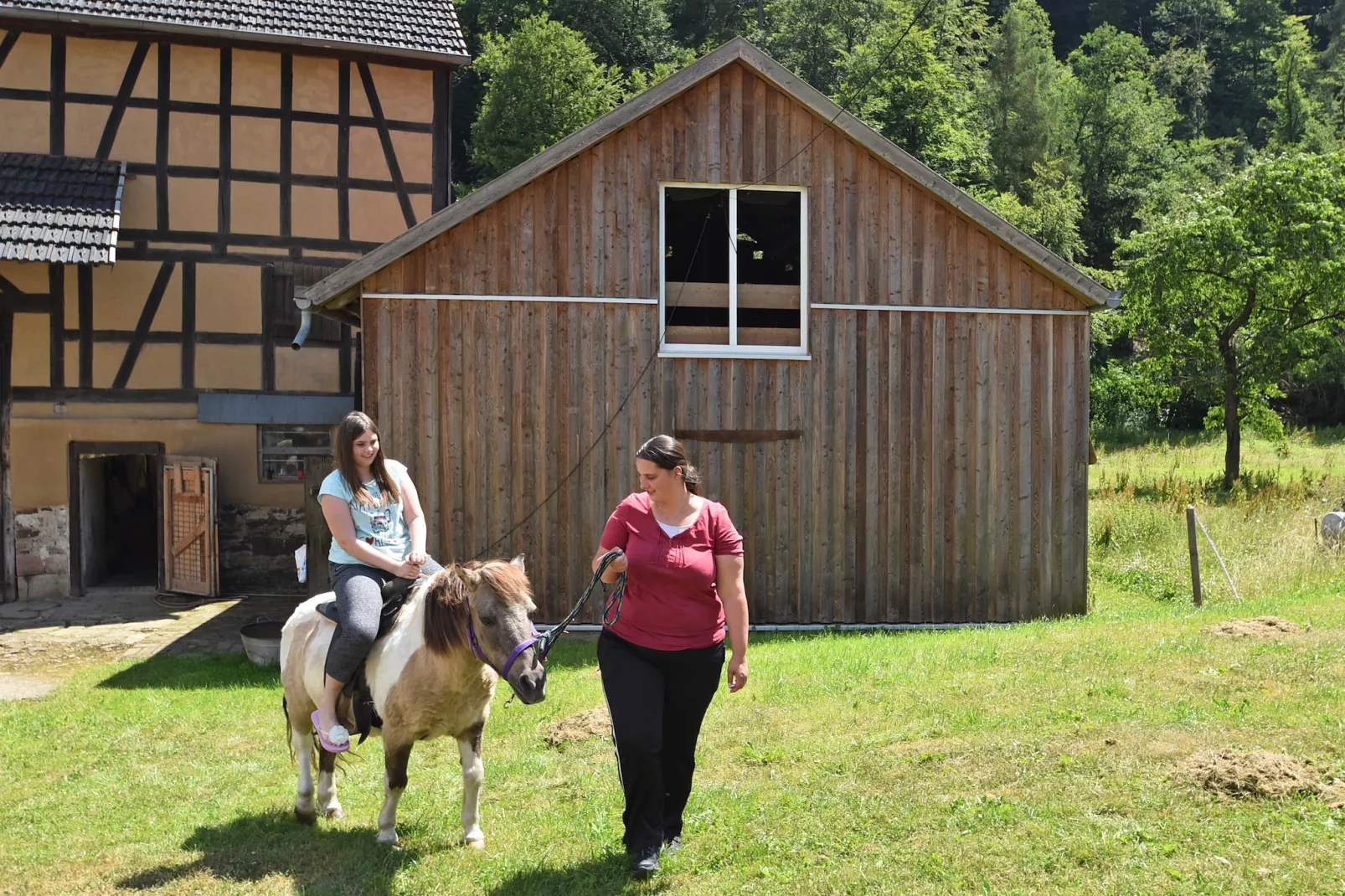 Am Ferienbauernhof - FW 1-Gebieden zomer 1km
