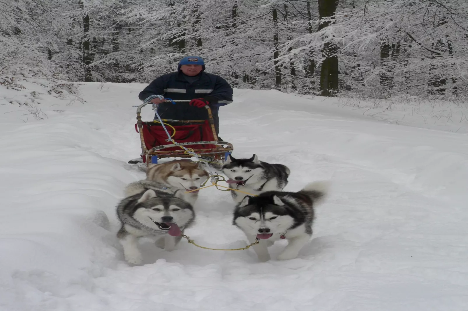 Sauerland - Diemelsee-Gebied winter 1km