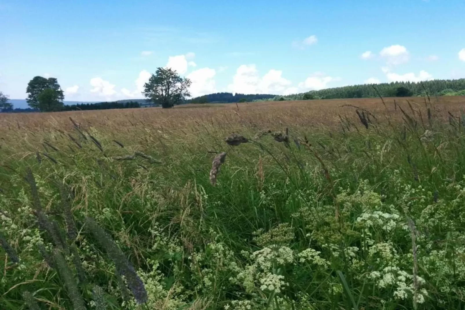 Bergfreunde-Gebieden zomer 20km