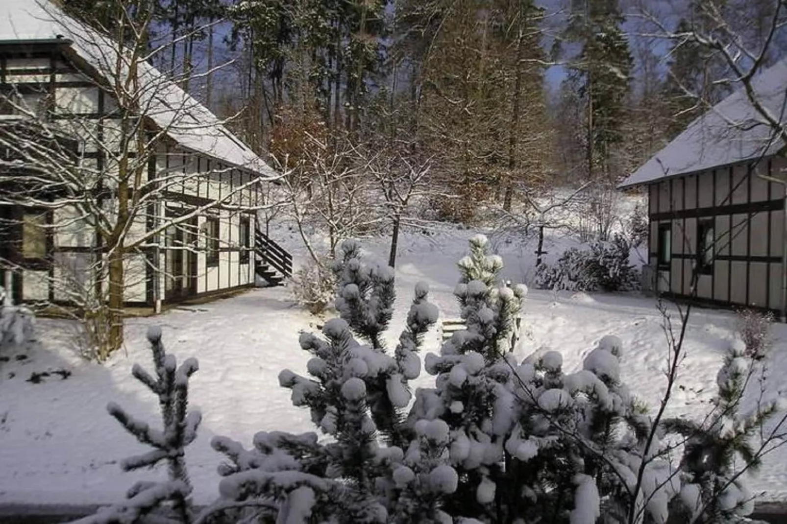 Am Sternberg-Exterieur winter