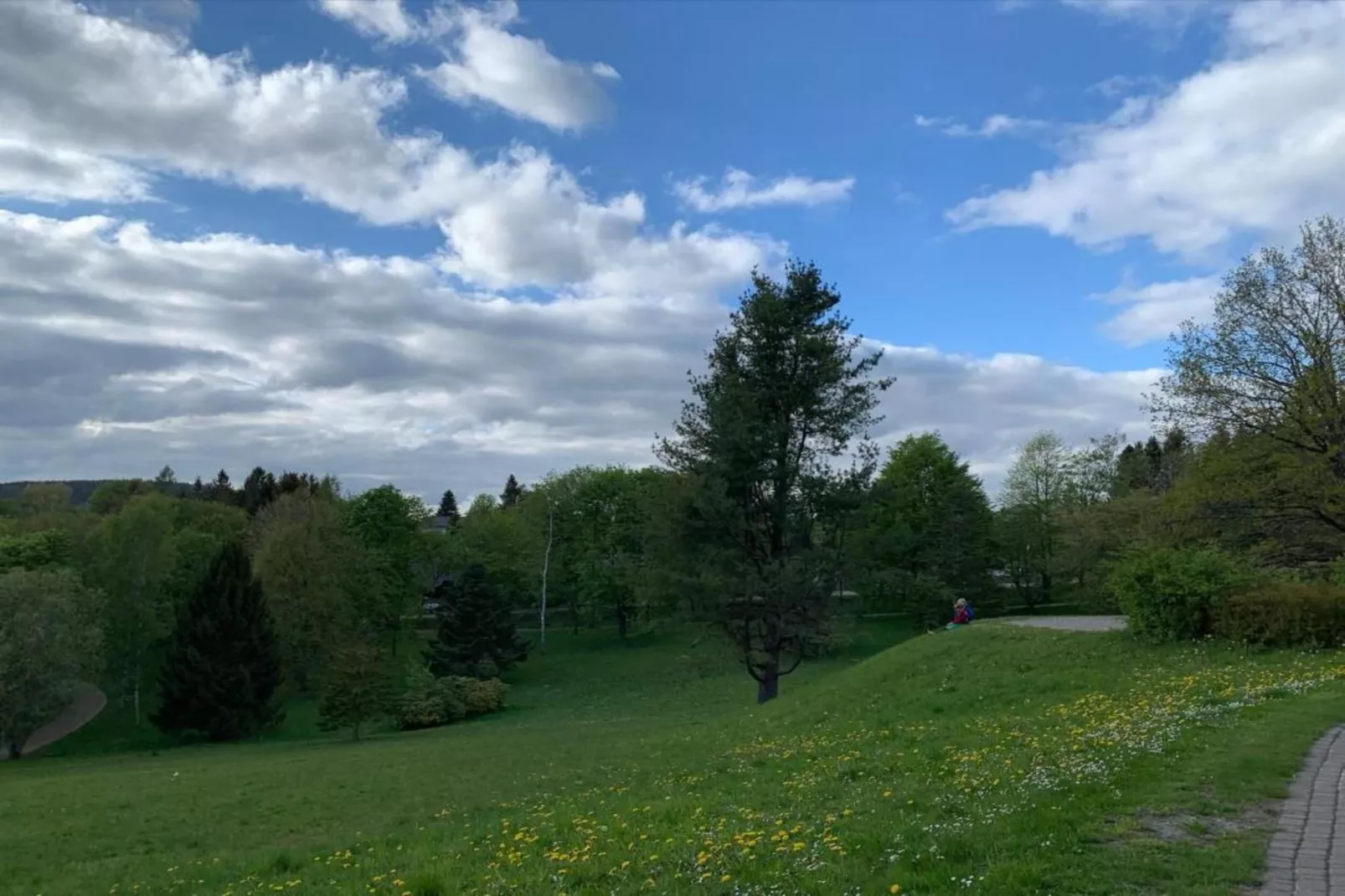 Waldferienhaus-Gebieden zomer 20km