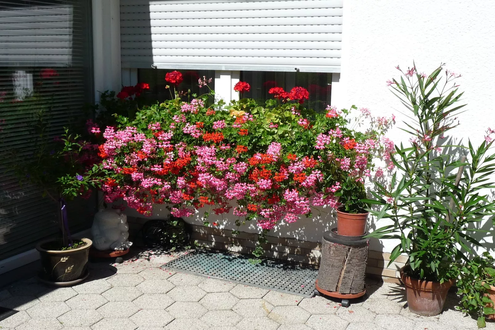 Haus Helga-Tuinen zomer