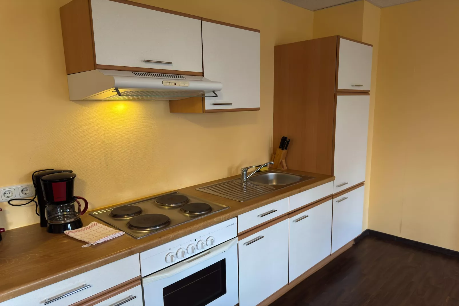 Residence Park am Schweriner See / Studio 40 qm-Keuken