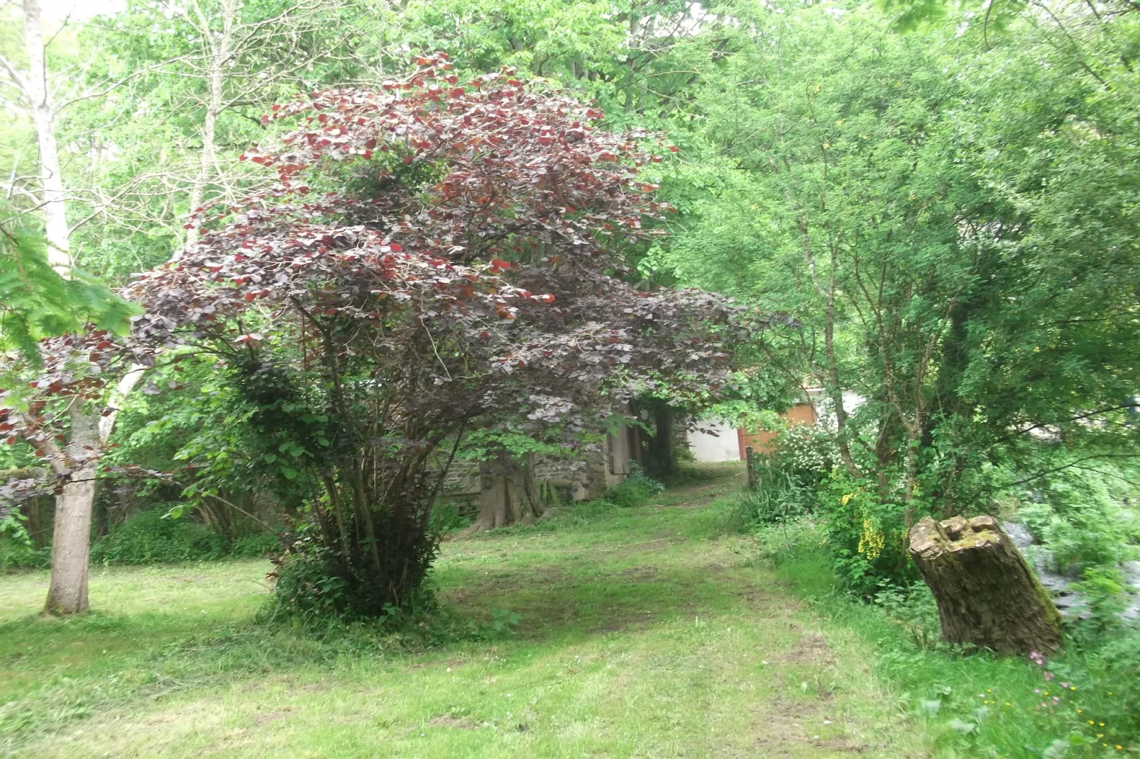 Moulin Bescond-Tuinen zomer