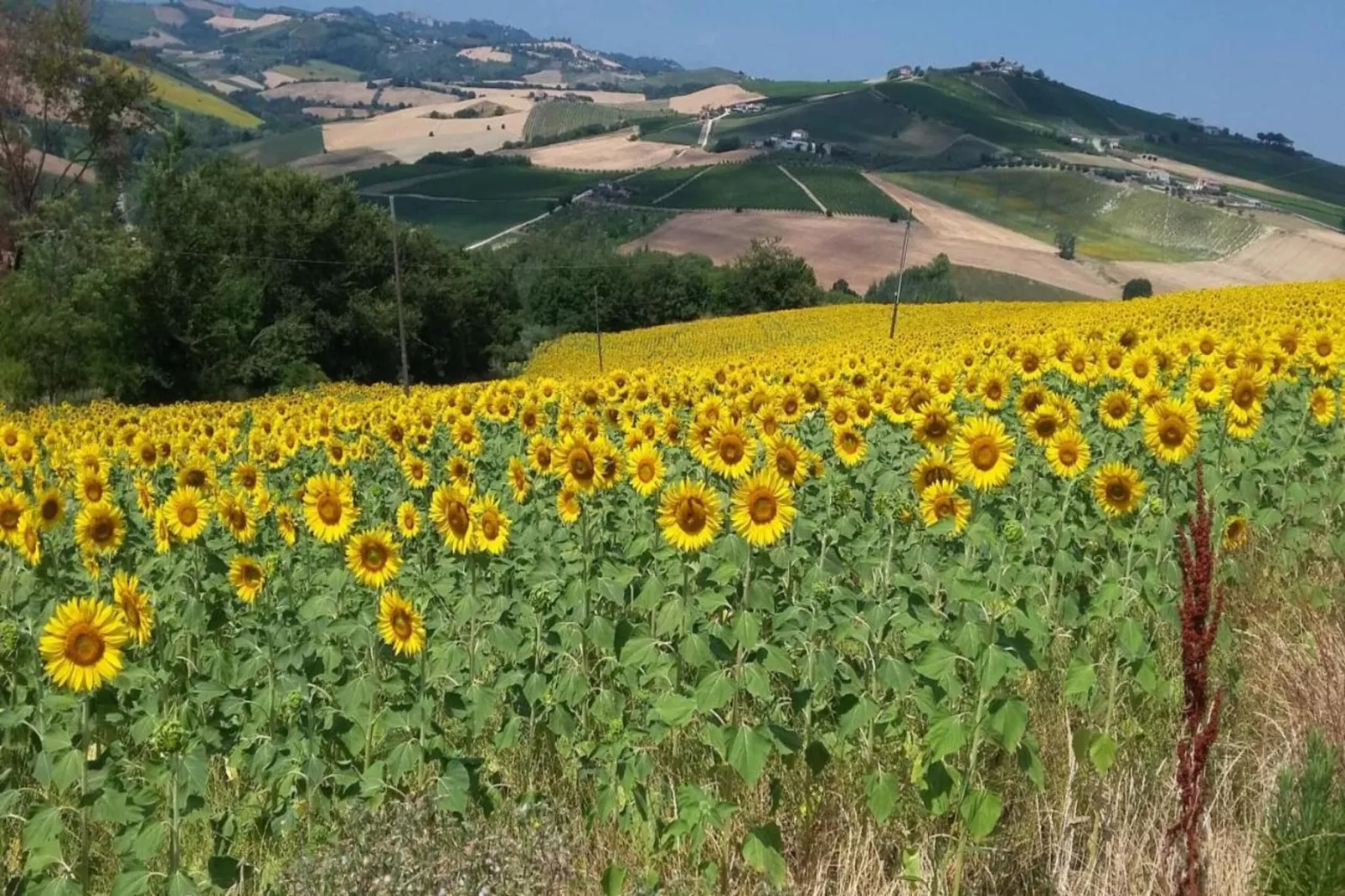 Casale le Querce-Gebieden zomer 20km
