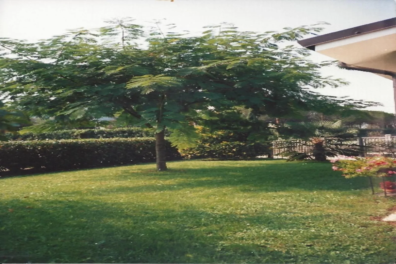 Casa Travesio-Tuinen zomer