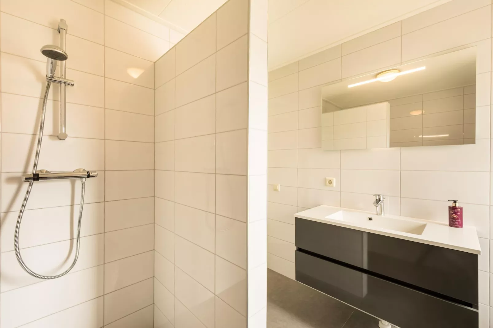 Vakantiepark De Heeren van 's Gravensande 2-Badkamer