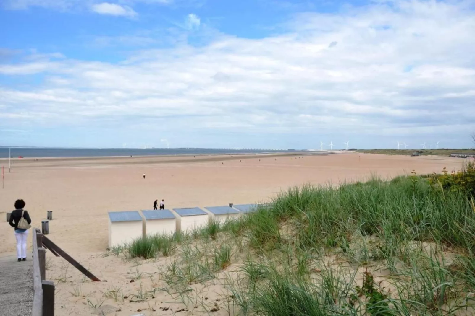 Fort den Haak - Chalet 1 tm 15  hond-Gebieden zomer 5km