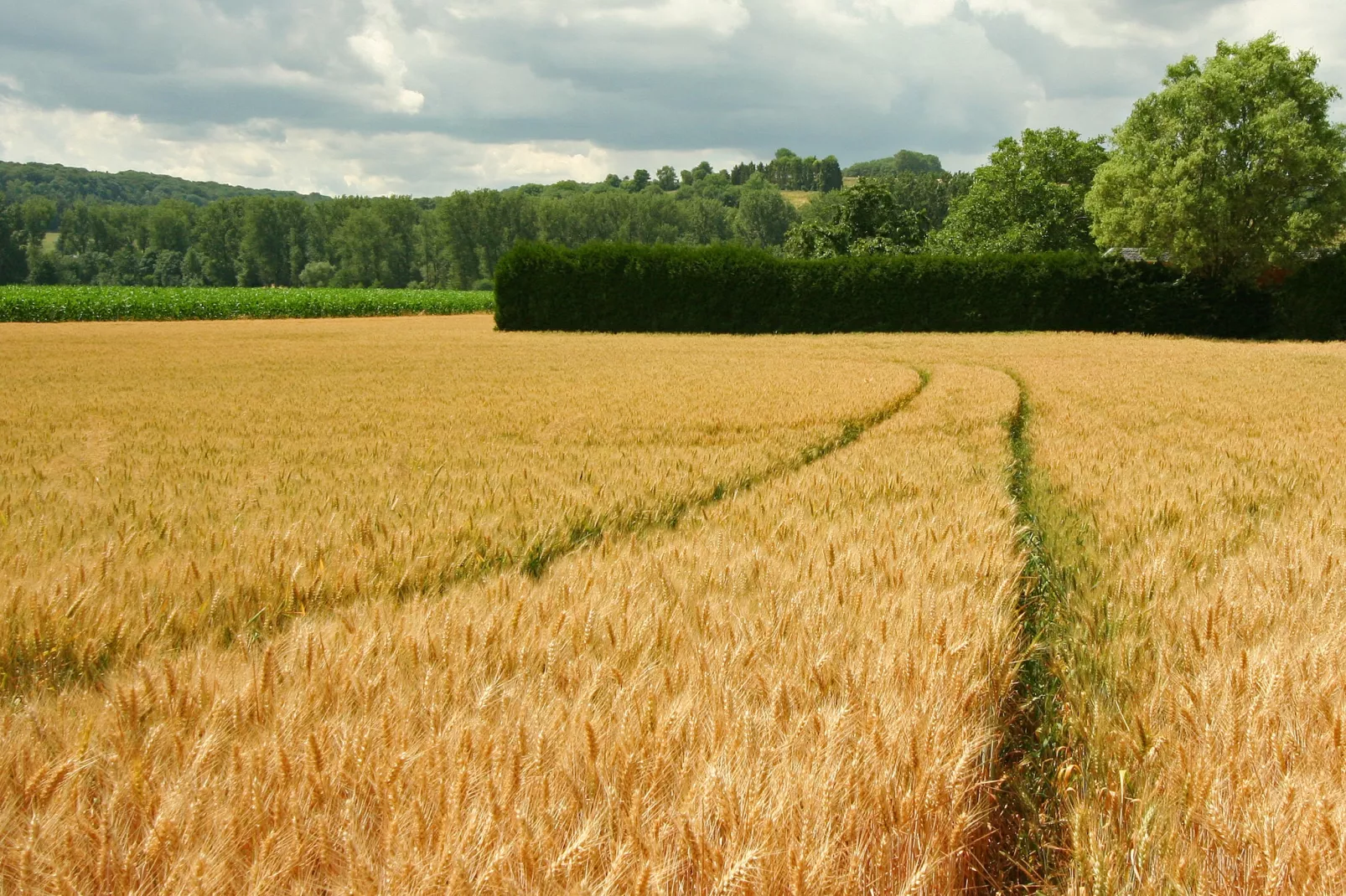 Hoeve in gunne winkel 2-Gebieden zomer 1km