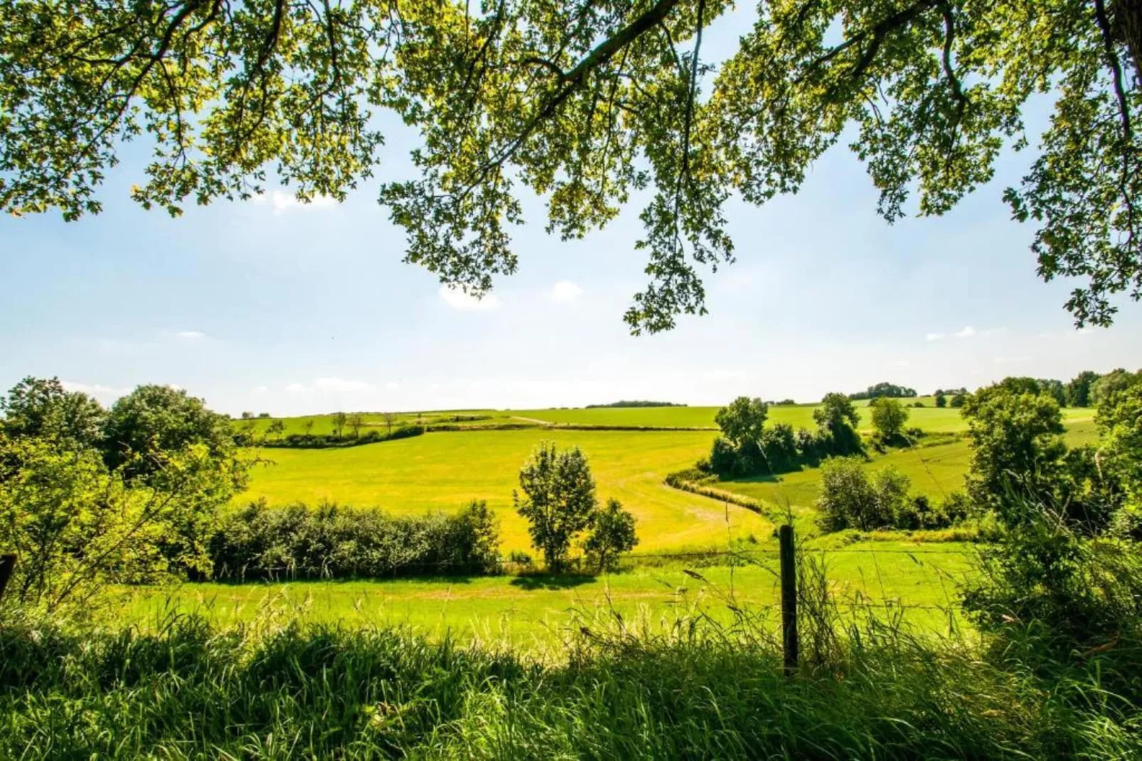Hoeve in gunne winkel 1-Gebieden zomer 20km