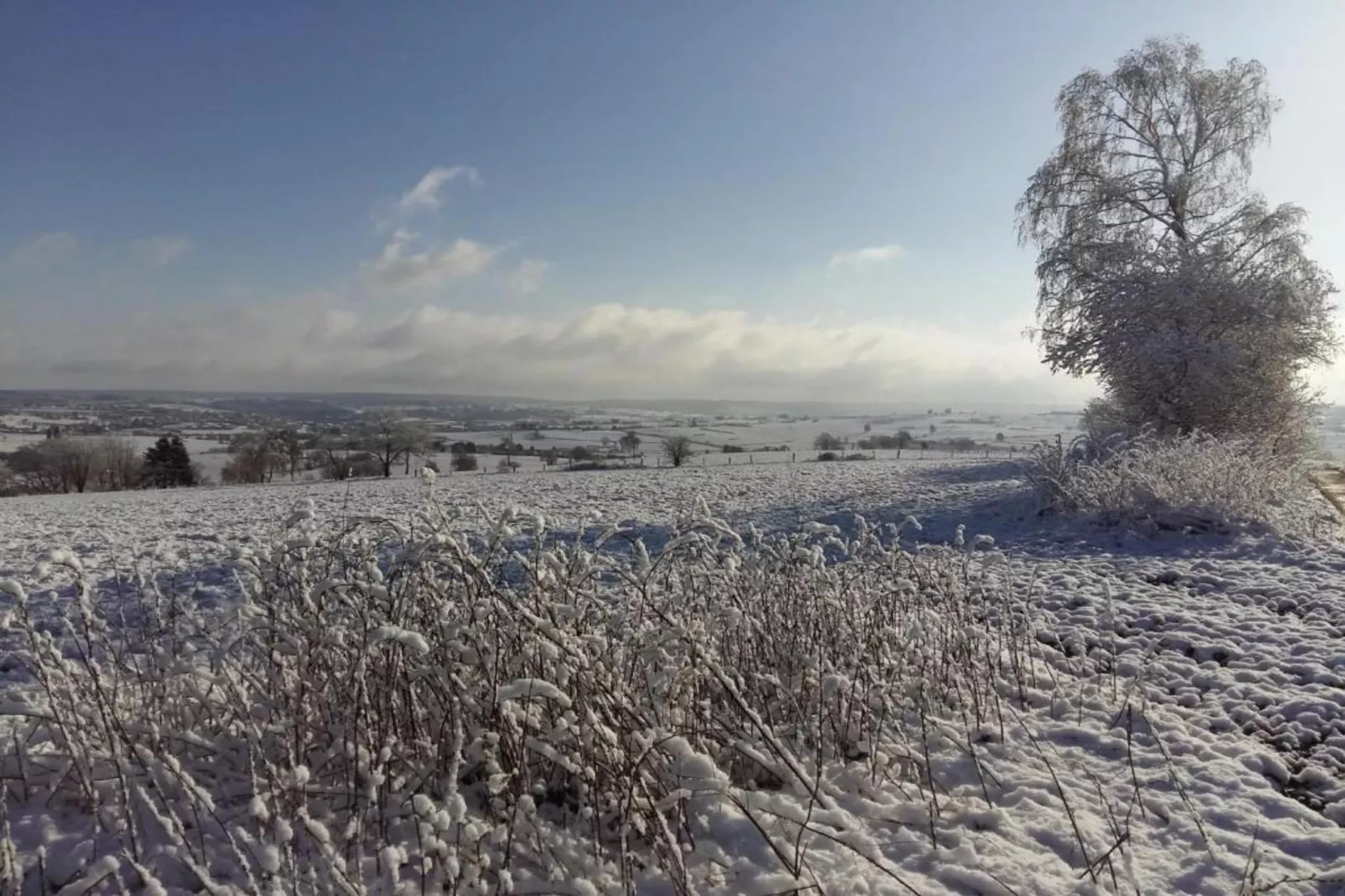 Tolifaz-Gebied winter 20km