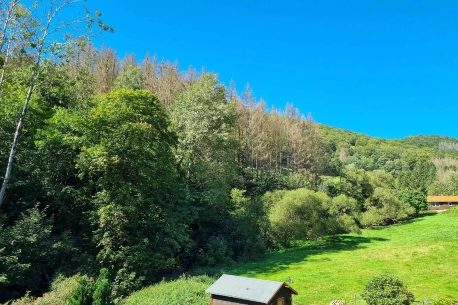 Grand Chalet am Bergflüsschen-Gebieden zomer 20km
