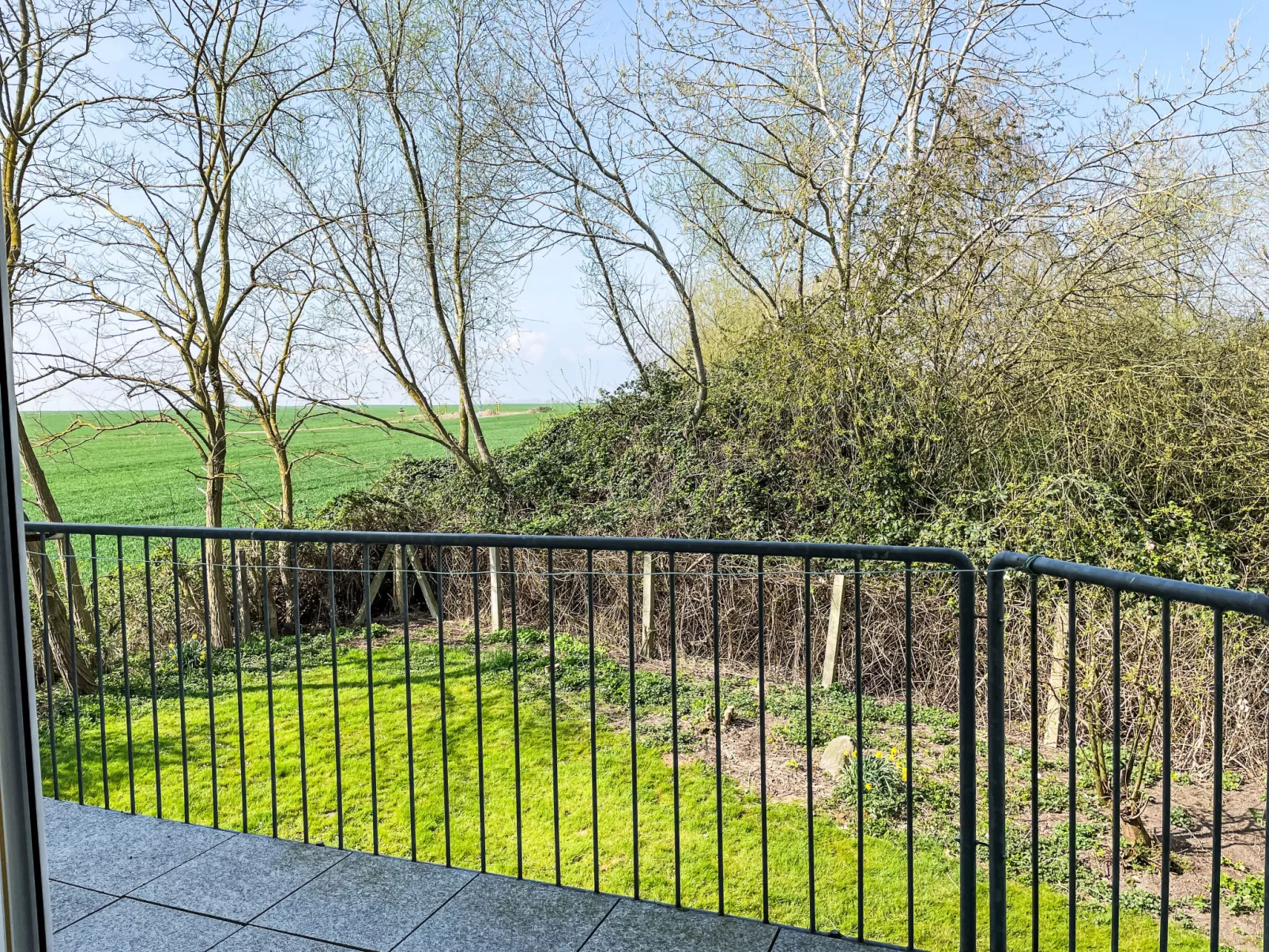 Gollwitzer Park (Insel Poel)-Buiten
