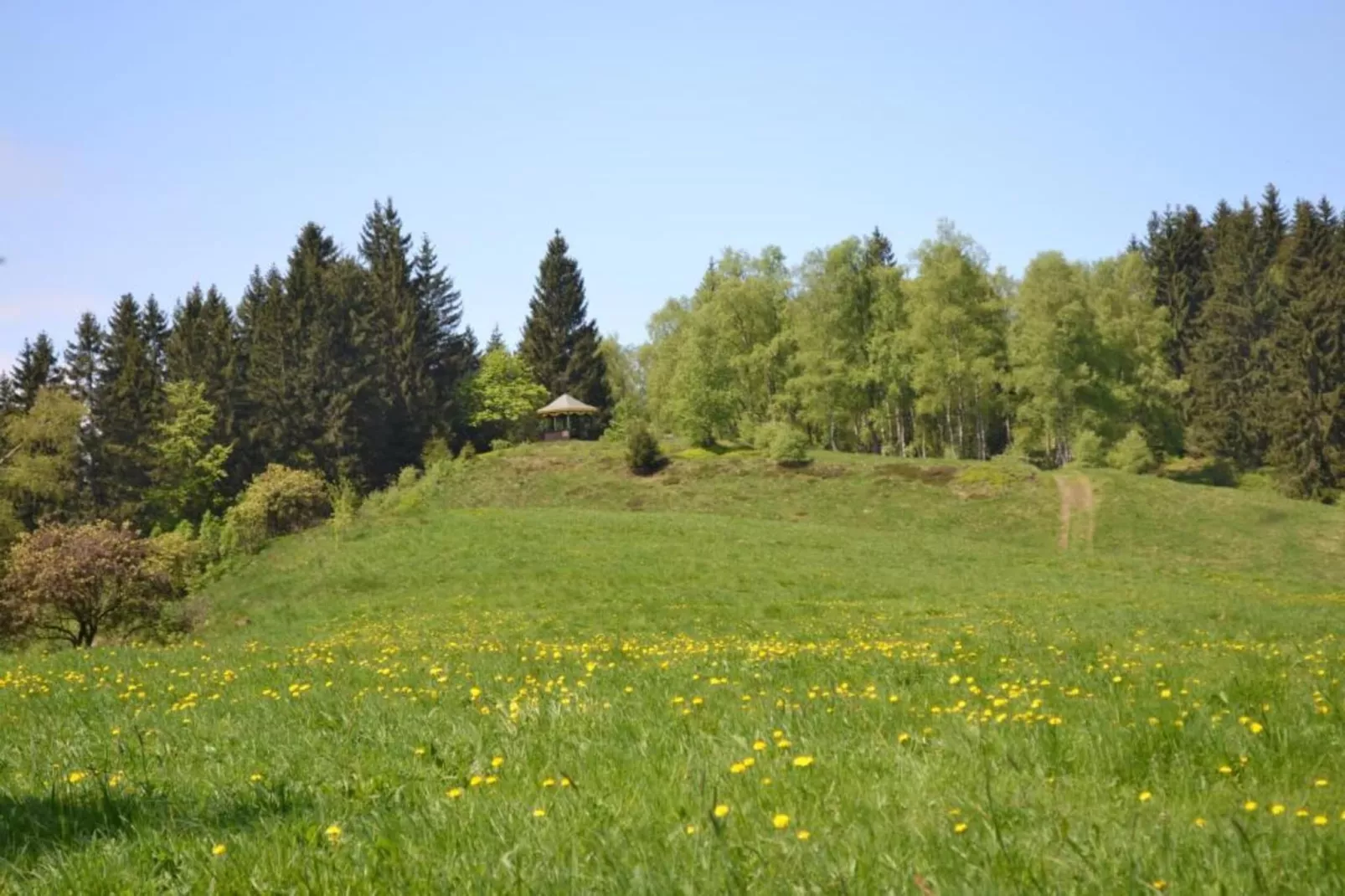 Ferienapartment Afrika in Wildemann Harz-Gebieden zomer 20km