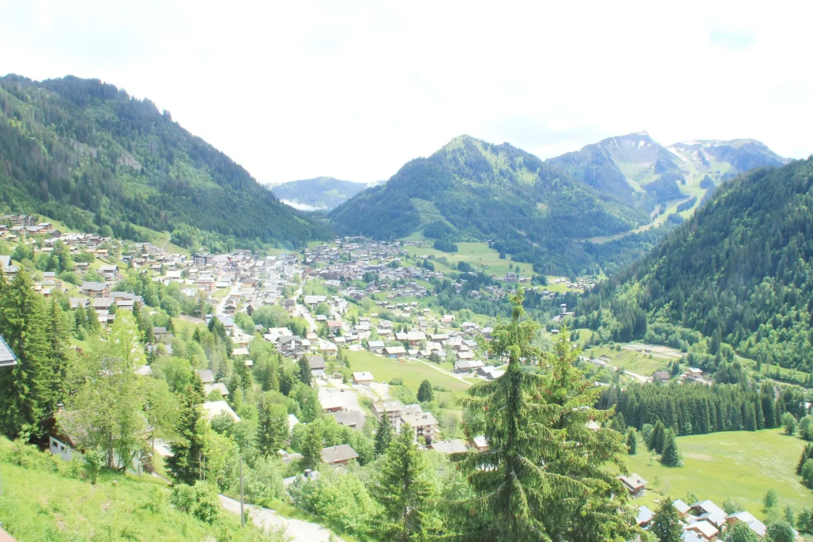 Alpenlake AP122 VIEW & NATURE 4 Pers.-Uitzicht zomer