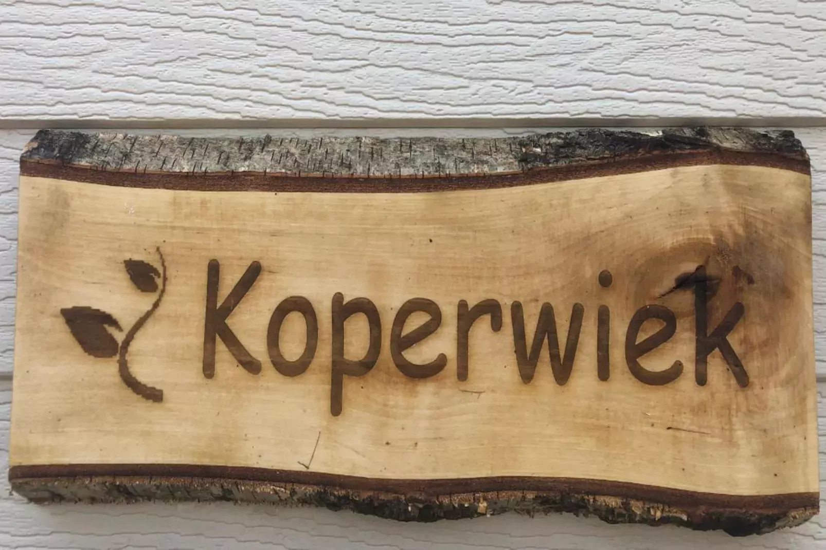 Koperwiek-Exterieur winter