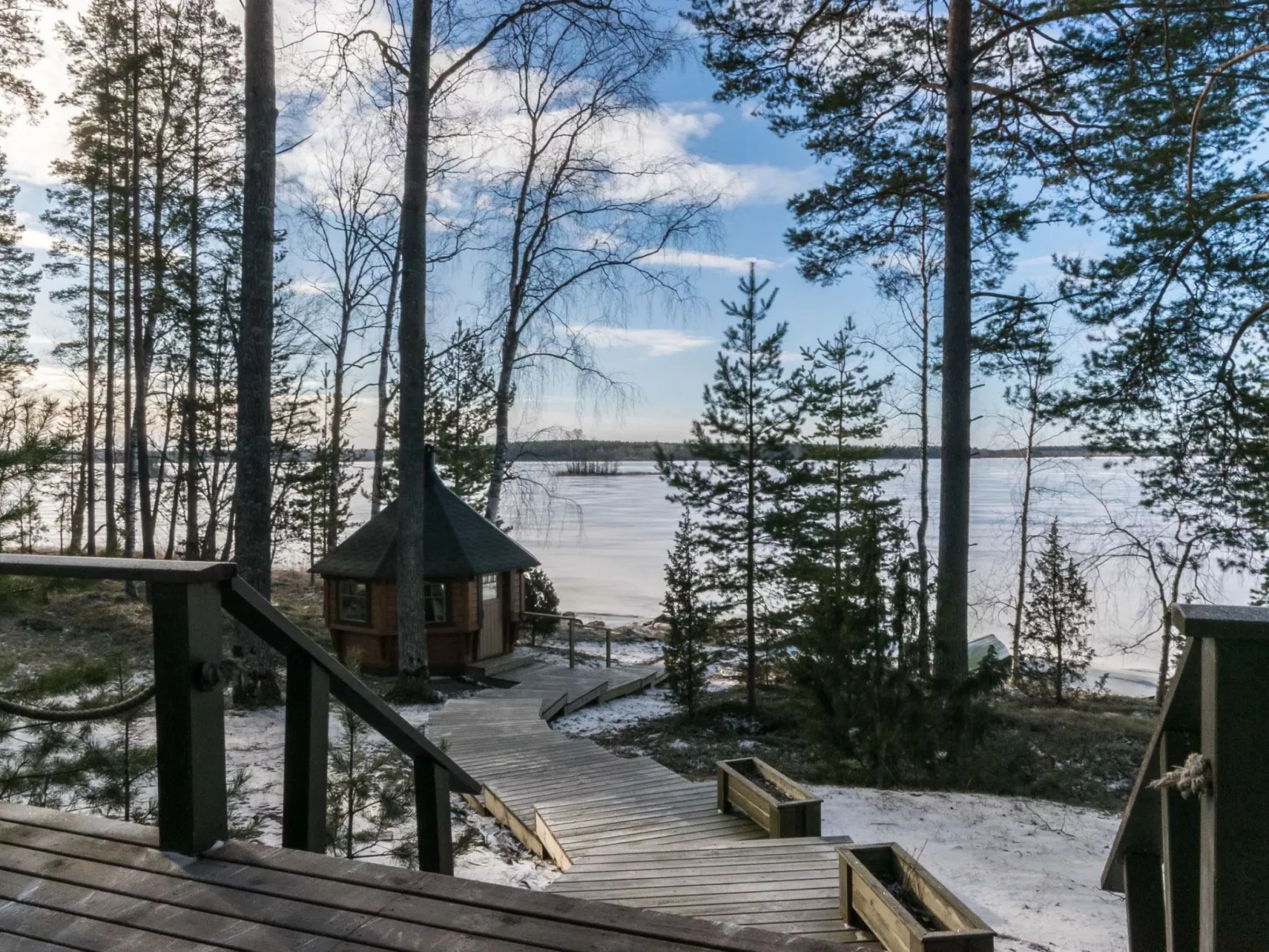 Puolen hehtaarin metsä-Buiten