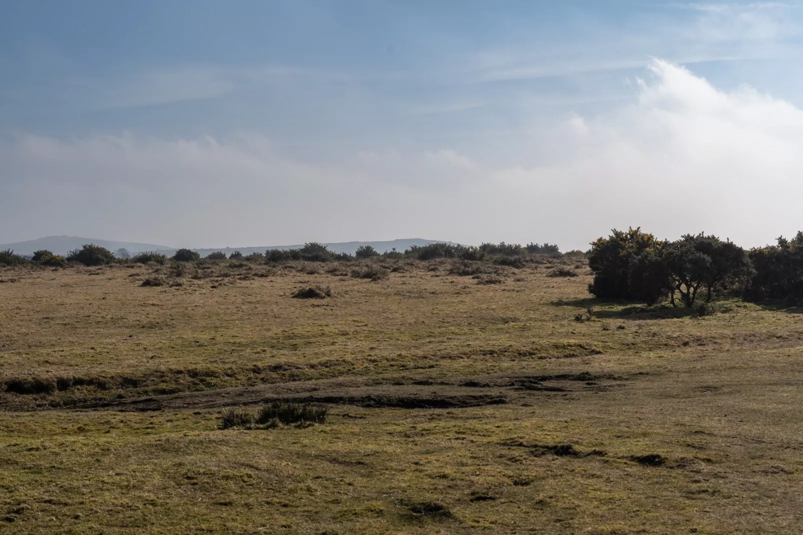 Trippet Cottage at Bodmin Moor