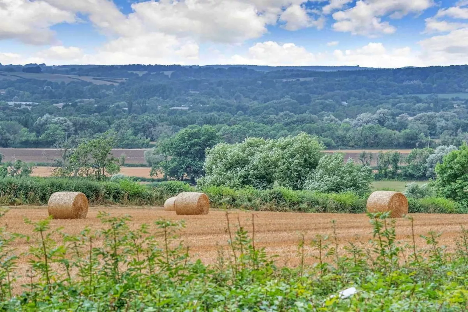 Little Rissington - Barn Three-Tuinen zomer