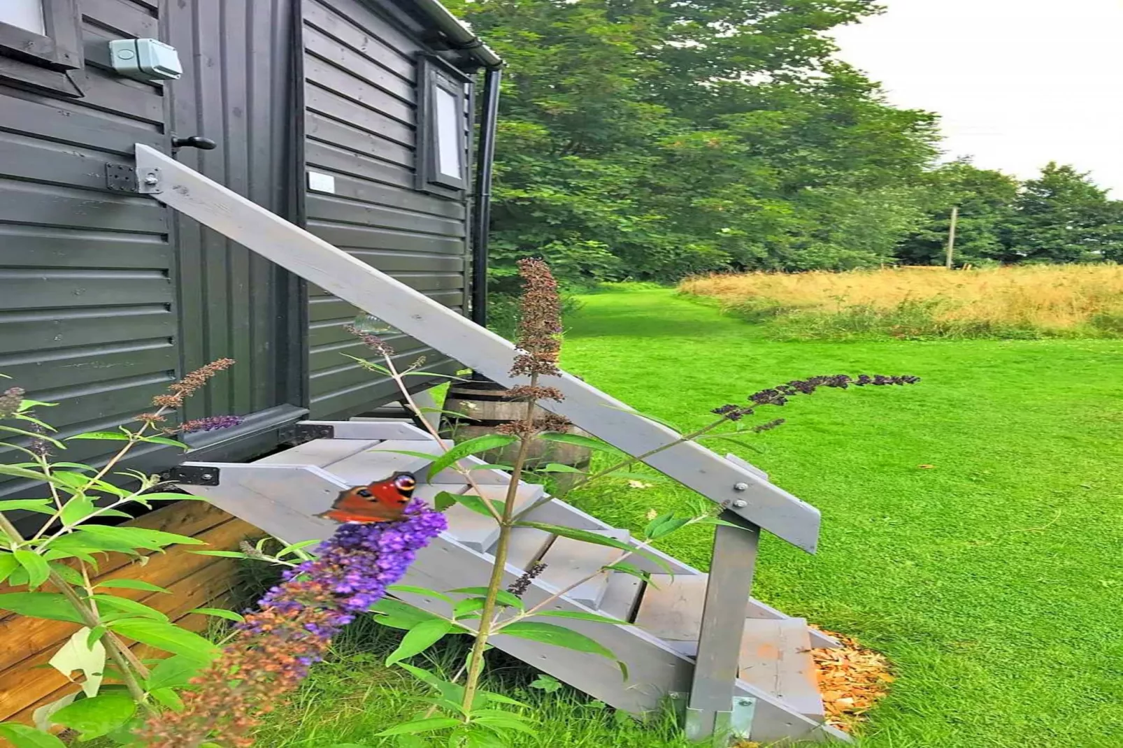 Lilypad Bell Tent-Buitenkant zomer