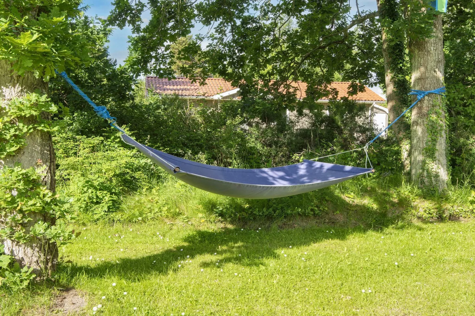6 persoons vakantie huis in Ørsted-Uitzicht