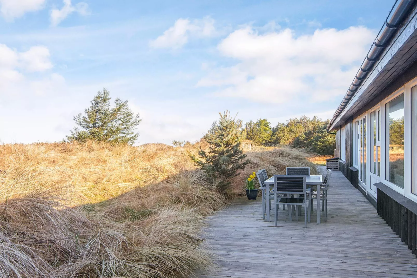 12 persoons vakantie huis in Løkken-Uitzicht