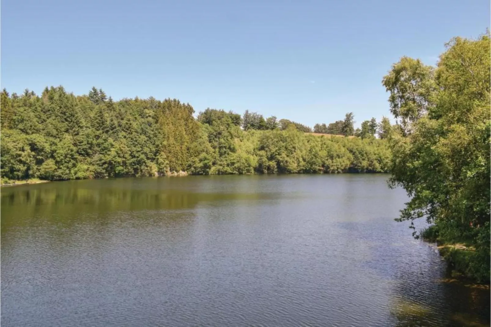 Wood Dream-Gebieden zomer 20km