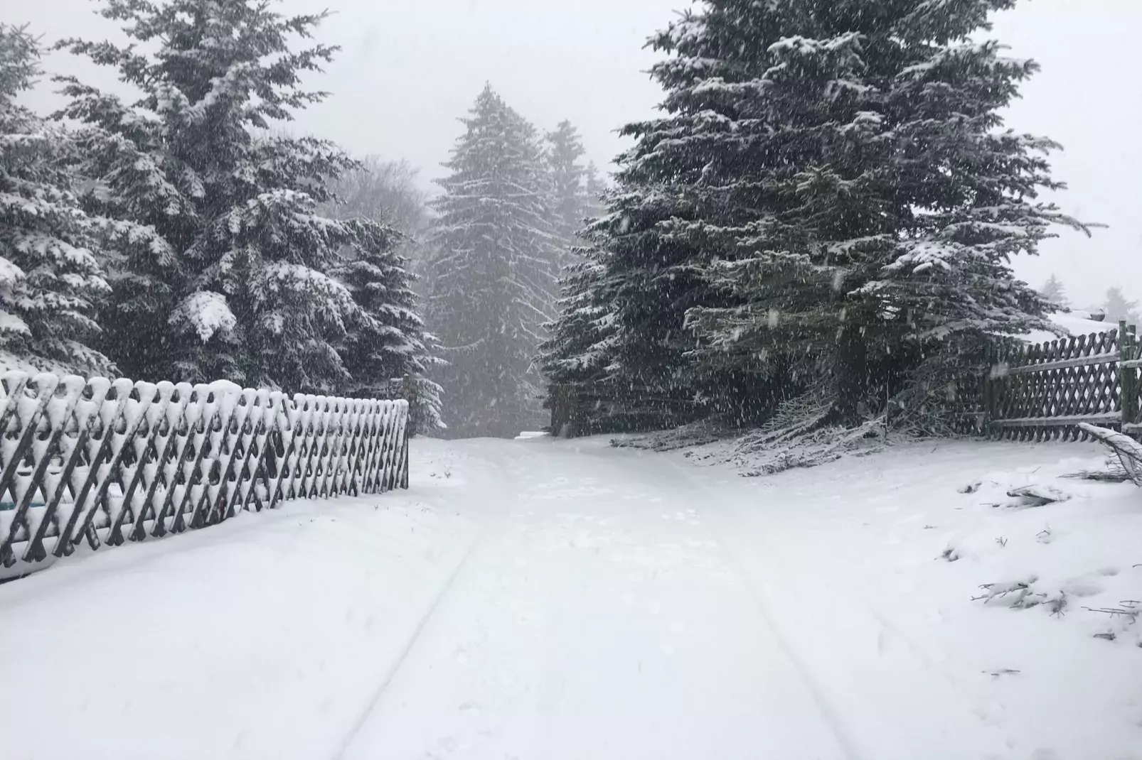 Antonio-Tuin winter