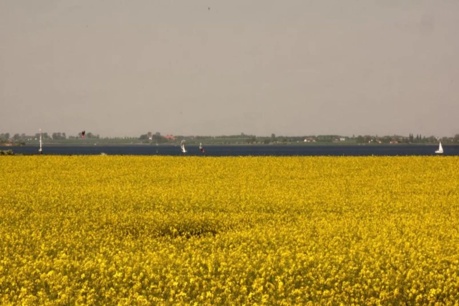 Bernsteinring Z1A-Gebieden zomer 20km