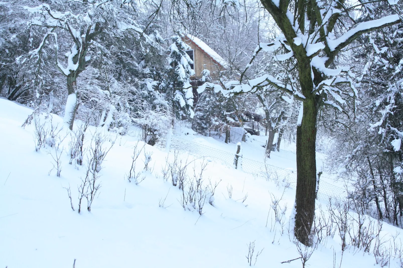 Reeenheuvel-Exterieur winter