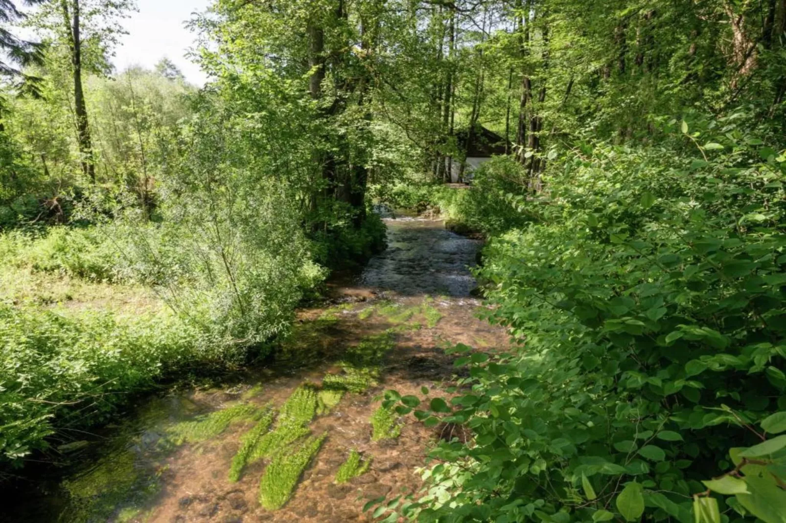 Willingen-Gebieden zomer 20km
